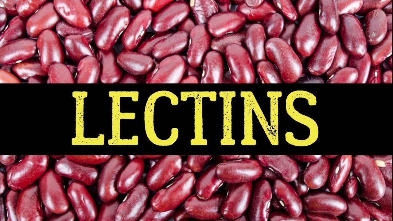 lectins-and-phytic-acid-what-it-means-to-eat-beans