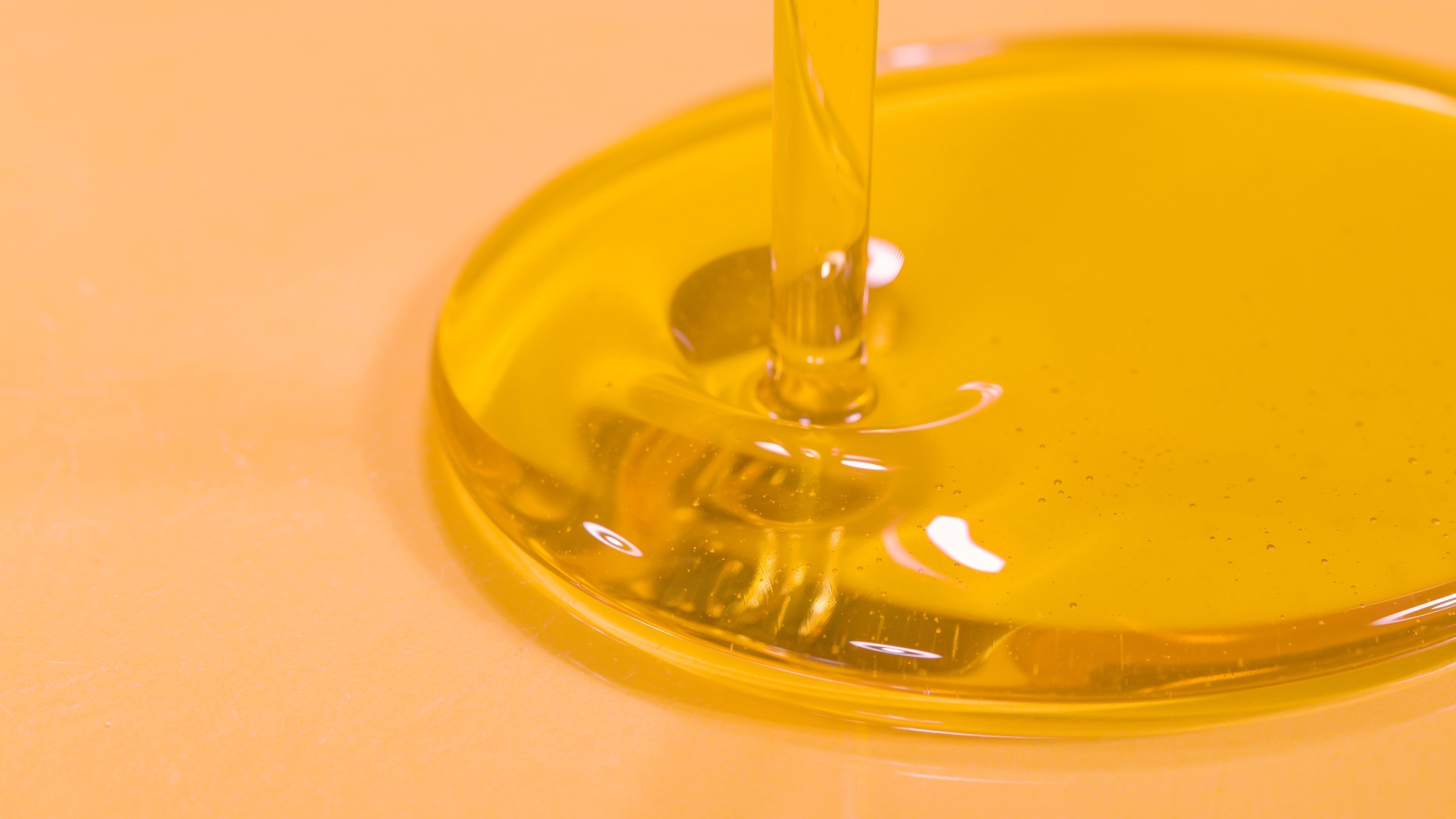 Are Seed Oils Bad for You? Here’s What You Need to Know